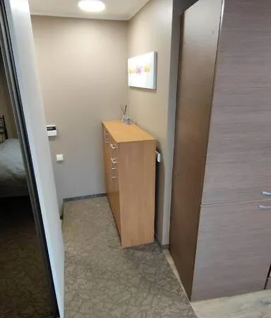 Studija Laisves Alejoje Apartment